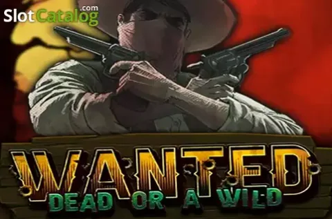 Wilde westen, wanted poster, revolver